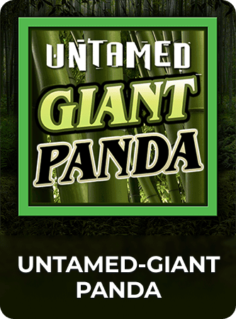 Untamed - Giant Panda